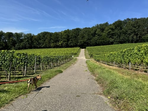 Durch den Talebuckel