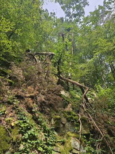 Rundwanderweg Kürnburg (St09)