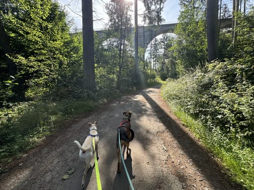 Eiswoog Bockbachtal