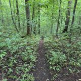 Stecoah Gap Loop Via Appalachian Trail, North Carolina - 167 Reviews ...