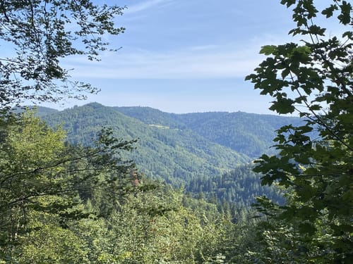 Von Lautenbach zur Grünberghütte