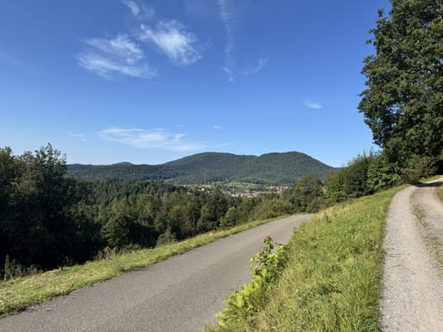 Scheuern - Lautenbach - Loffenau - Gernsbach Rundweg