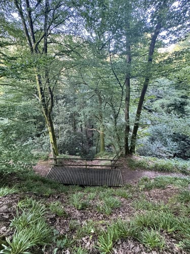 Scheuern - Lautenbach - Loffenau - Gernsbach Rundweg