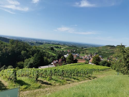 Schnapsbrunnenweg 2