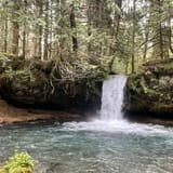 Kalama Falls Trail, Washington - 700 Reviews, Map | AllTrails