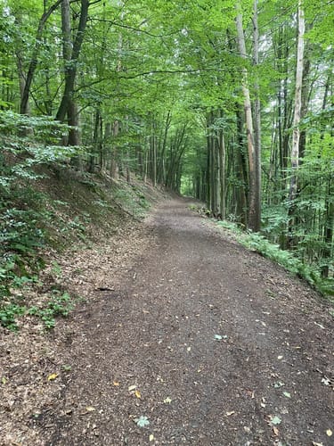 Hickenstein Rundwanderweg A4