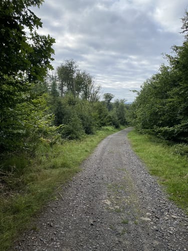 Hickenstein Rundwanderweg A4