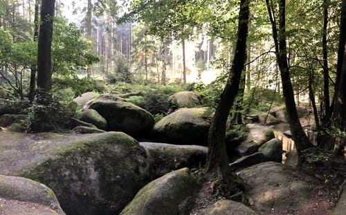 Rund um Floß