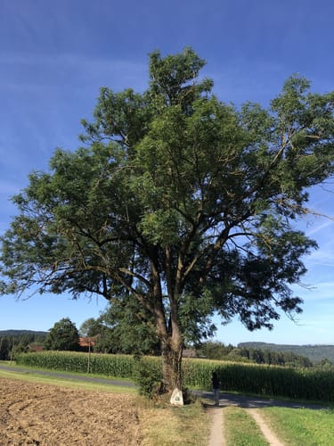 Rund um Floß
