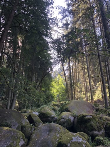 Rund um Floß