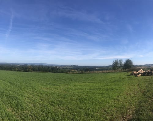Rund um Floß