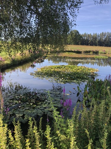 Rund um Floß