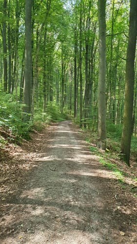 Rund um Schloss Virnsberg