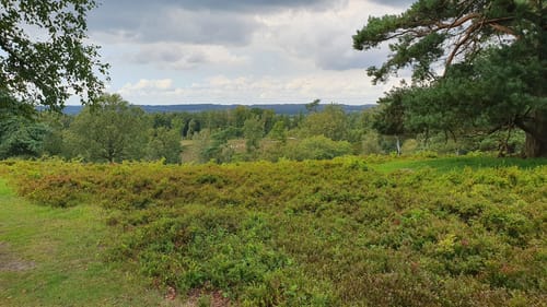 Boxberg-Route