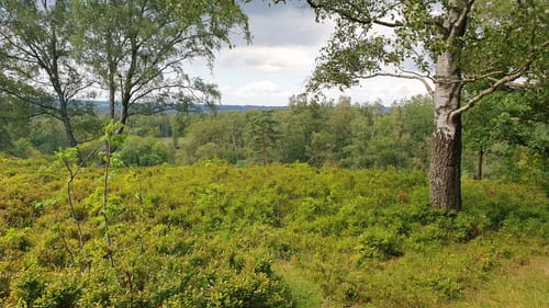 Boxberg-Route