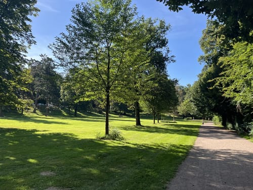 Durch den Kurpark Wiesbaden zum Sonnenberg