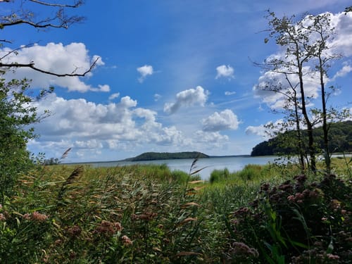 Insel Pulitz