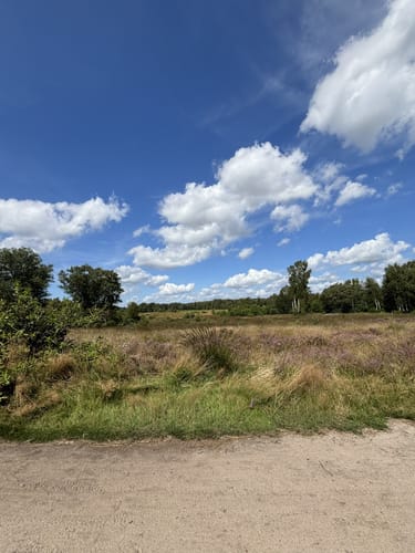 Rund um das Wittmoor