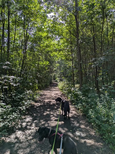 Rundweg Hilbersdorf