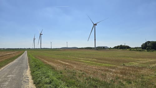 Rund um die Carl-Alexander-Halde zum Merberener Weg