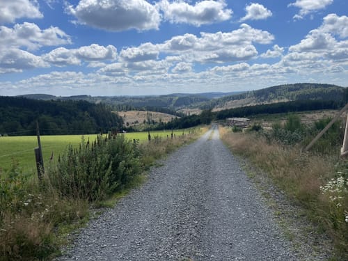 Rothaarsteig-Spur Wisentpfad