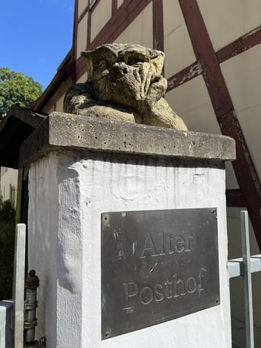 Celler Wasa-Lauf (10 km)