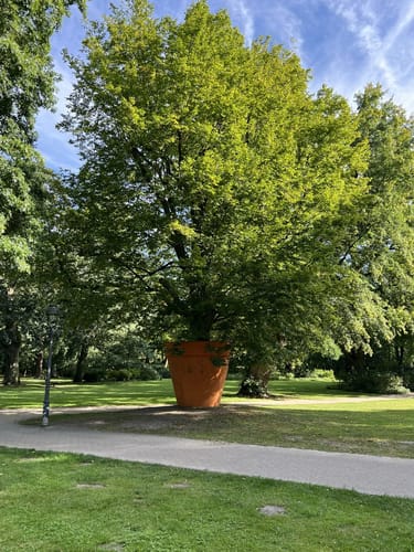 Celler Wasa-Lauf (10 km)