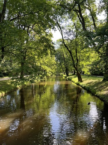 Celler Wasa-Lauf (10 km)