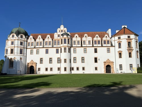 Celler Wasa-Lauf (10 km)