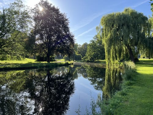 Celler Wasa-Lauf (10 km)