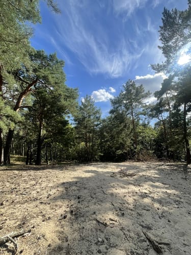 Mit dem MTB um den Müggelberg