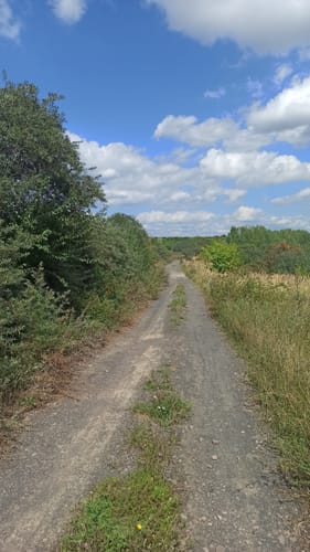 Naturlehrpfad Grabschützer See