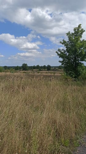 Naturlehrpfad Grabschützer See