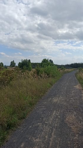 Naturlehrpfad Grabschützer See