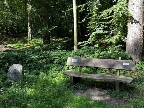 Holnisser Trail Westseite
