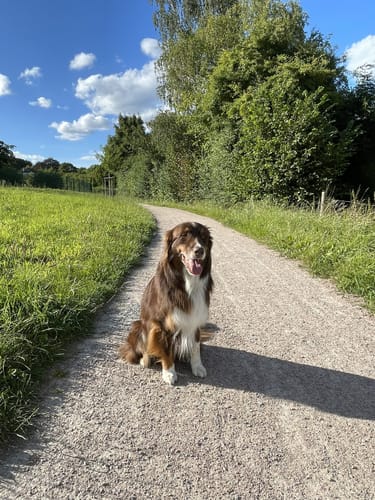 Rund um Neuheikendorf