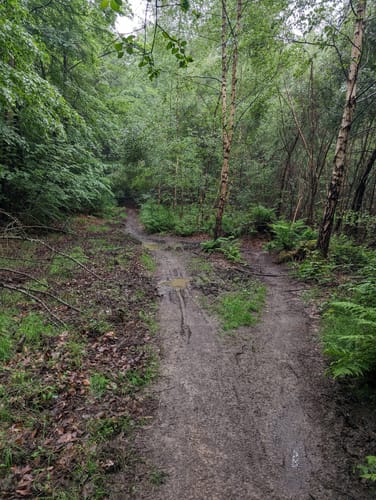 Rund um die Große Höhe und Markusberg