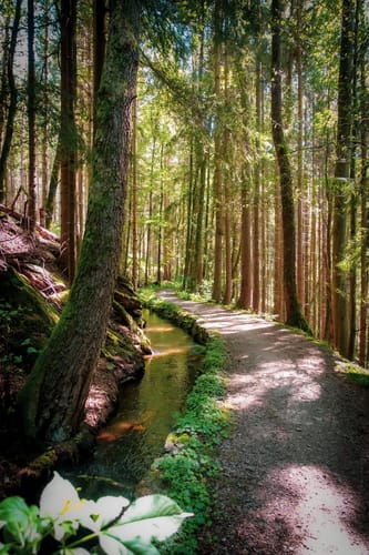 Floßgrabenweg
