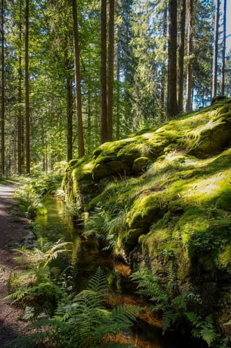 Floßgrabenweg