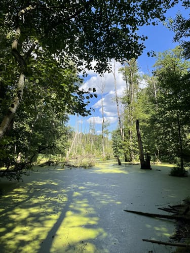 Briesetal von Borgsdorf