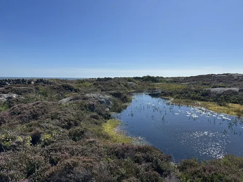 Härmanö kile