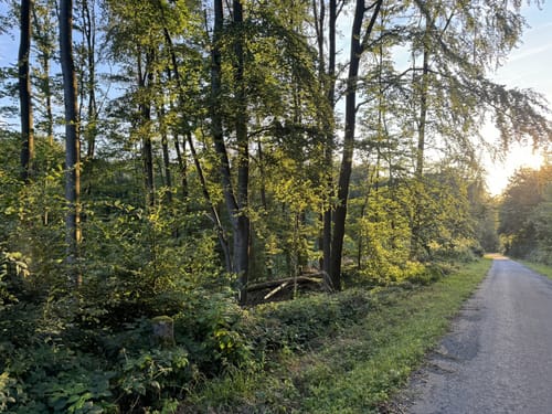 Borderkonsberg Wanderung