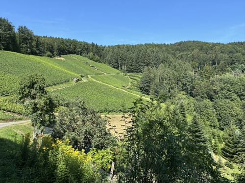 Zum Unteren Fuchsfelsen im Glottertal
