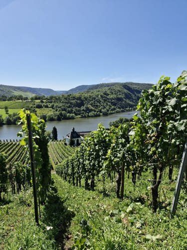 Panorama-Rundweg und Schiefer-Pfad Kröv