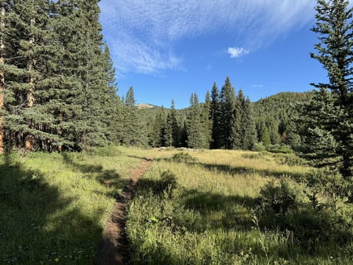 Best hikes and trails in Buffalo Peaks Wilderness AllTrails