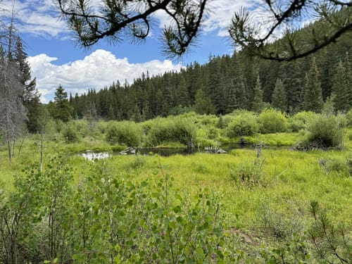 Buffalo peaks wilderness loop hotsell
