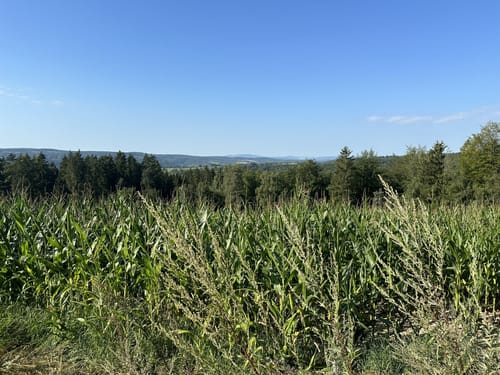 Um Weidebrunner Kuppe und Sandacker