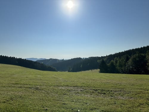 Winterberg Rundweg W5 Brembergweg