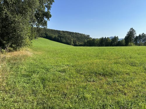 Um Weidebrunner Kuppe und Sandacker
