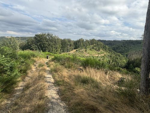 Über den Wiedweg ins Anxbachtal